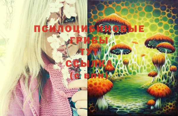 марки nbome Баксан